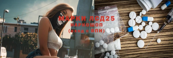 прущие грибы Белоозёрский