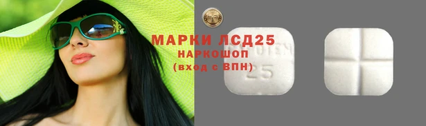 spice Богданович