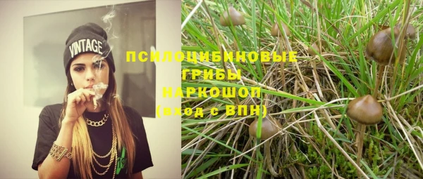 мескалин Богородицк