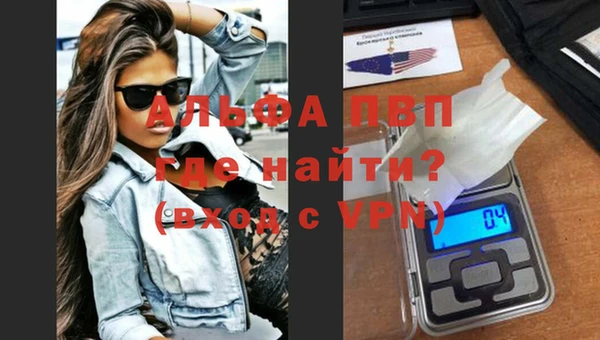 прущие грибы Белоозёрский