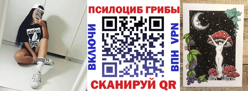 закладки  Онега  Галлюциногенные грибы мицелий 